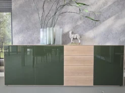 Scholtissek Kommoden & Sideboards|Anrichte Sideboard Farn Korpus Knorrige Eiche Puro Geölt Front Glas 6003 Olivgrün Grün Glänzend