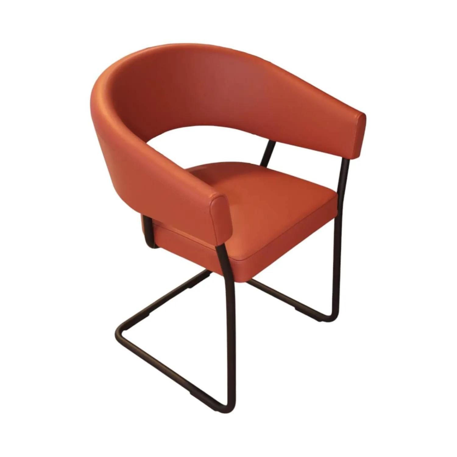 Tecta Einzelstühle|Armlehnstuhl D9 Leder II Terracotta Braun Orange Rot Gestell Stahlrohr Schwarz Pulverbeschichtet Kufengleitet Filz Ohne Tisch