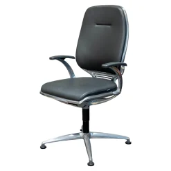 Girsberger Bürostühle|Bürodrehstuhl AL 3 Leder Schwarz4-Sternfuß Aluminium