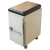 Bordbar Regale & Container|Container Box White Mit Leder Sitzkissen
