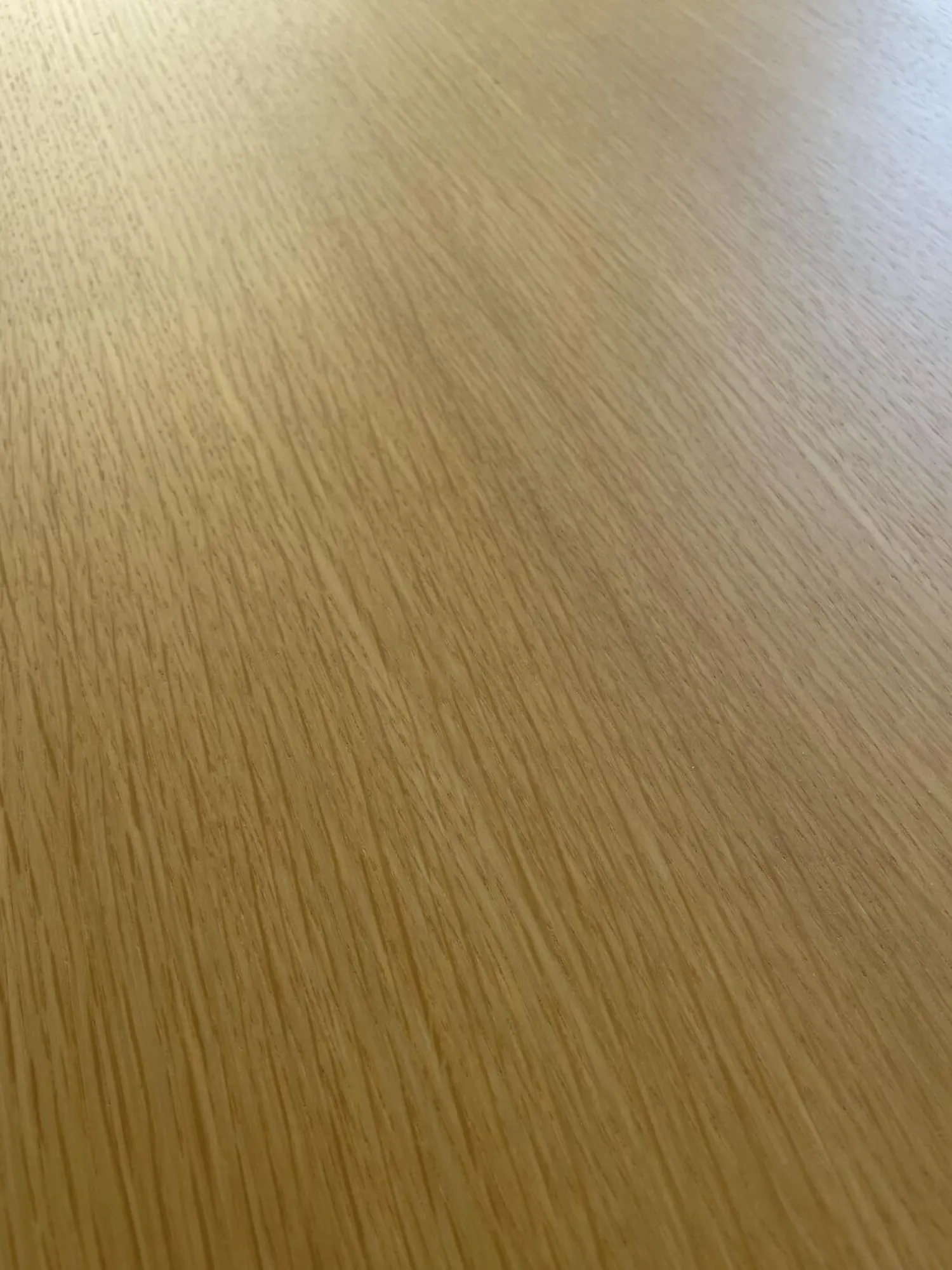 Kettnaker Couchtische|Couchtisch Solo Ellipse Platte Eiche Matt Unterplatte Lichtgrau Grau Weiß Füße Chrom