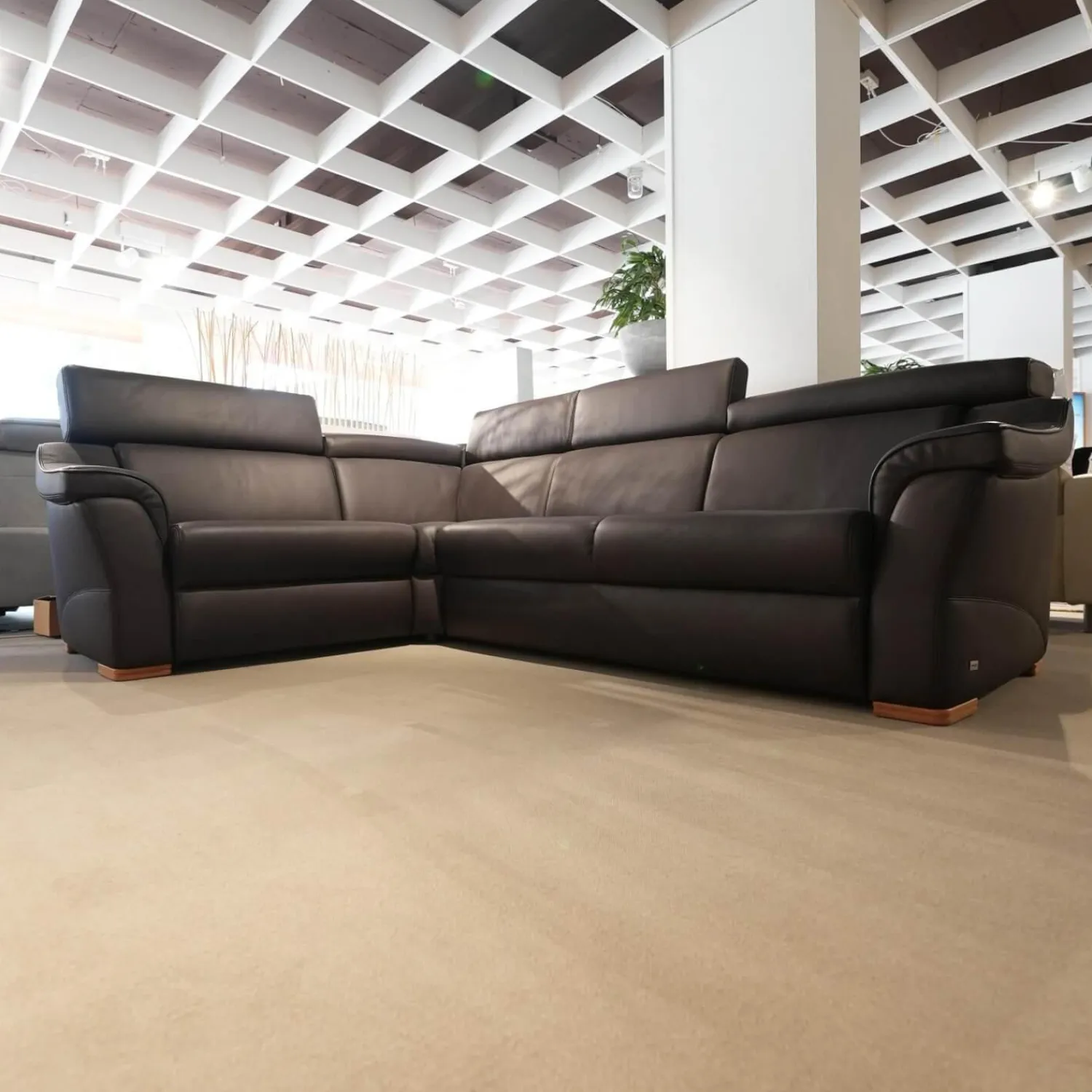 himolla Ecksofas|Ecksofa 1950 Leder 33 Longso Coffee Schwarz Anthrazit Holzteile Buche 042