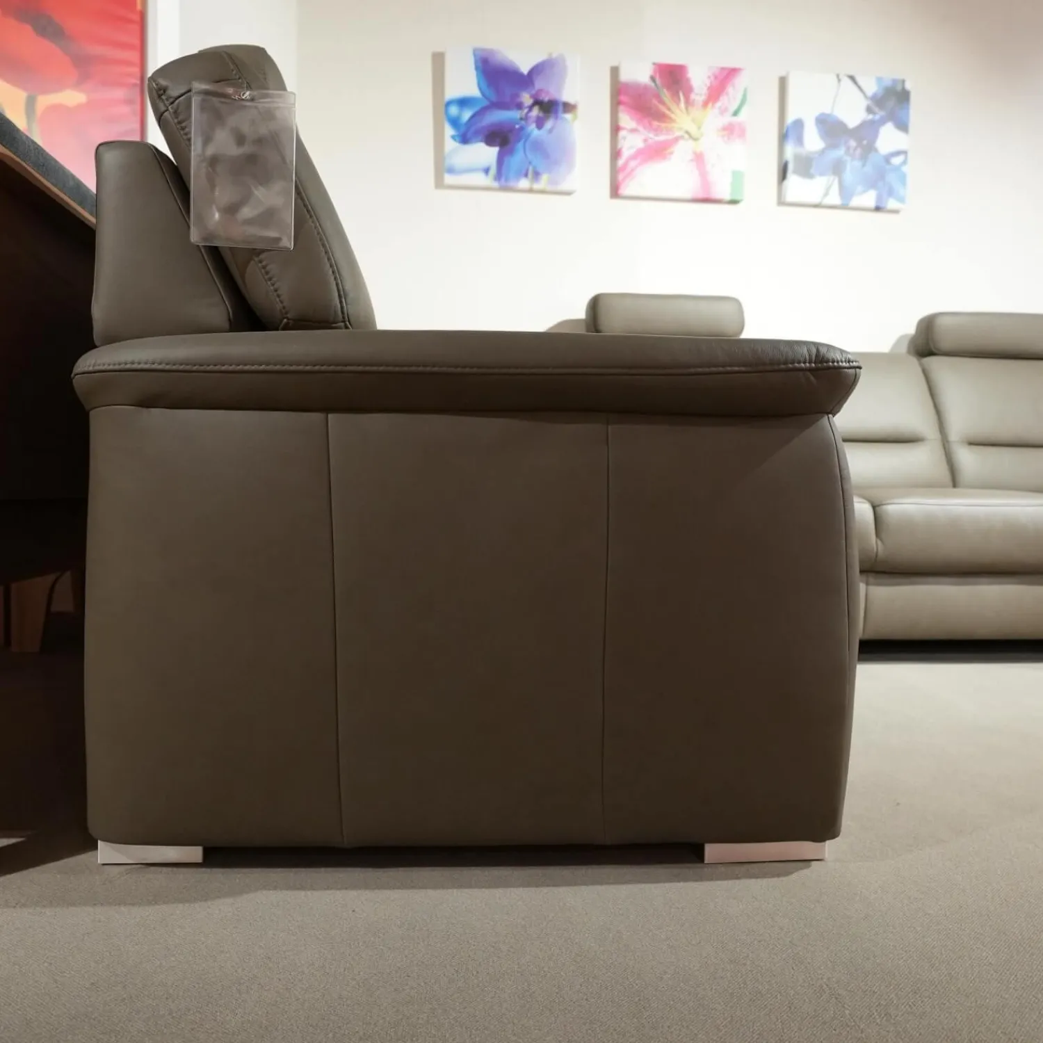 Polinova Ecksofas|Ecksofa Urbino Leder Vivre Smoke Grau Füße Aluminium Inklusive Kopfstütze