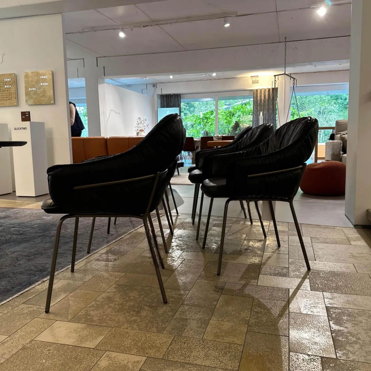 Freifrau Stuhlsets|6er Set Armchair Marie Leder Adora Canelo 95007 Schwarz 4 Fuß Stahlgestell Bronze Lasur Schwarz