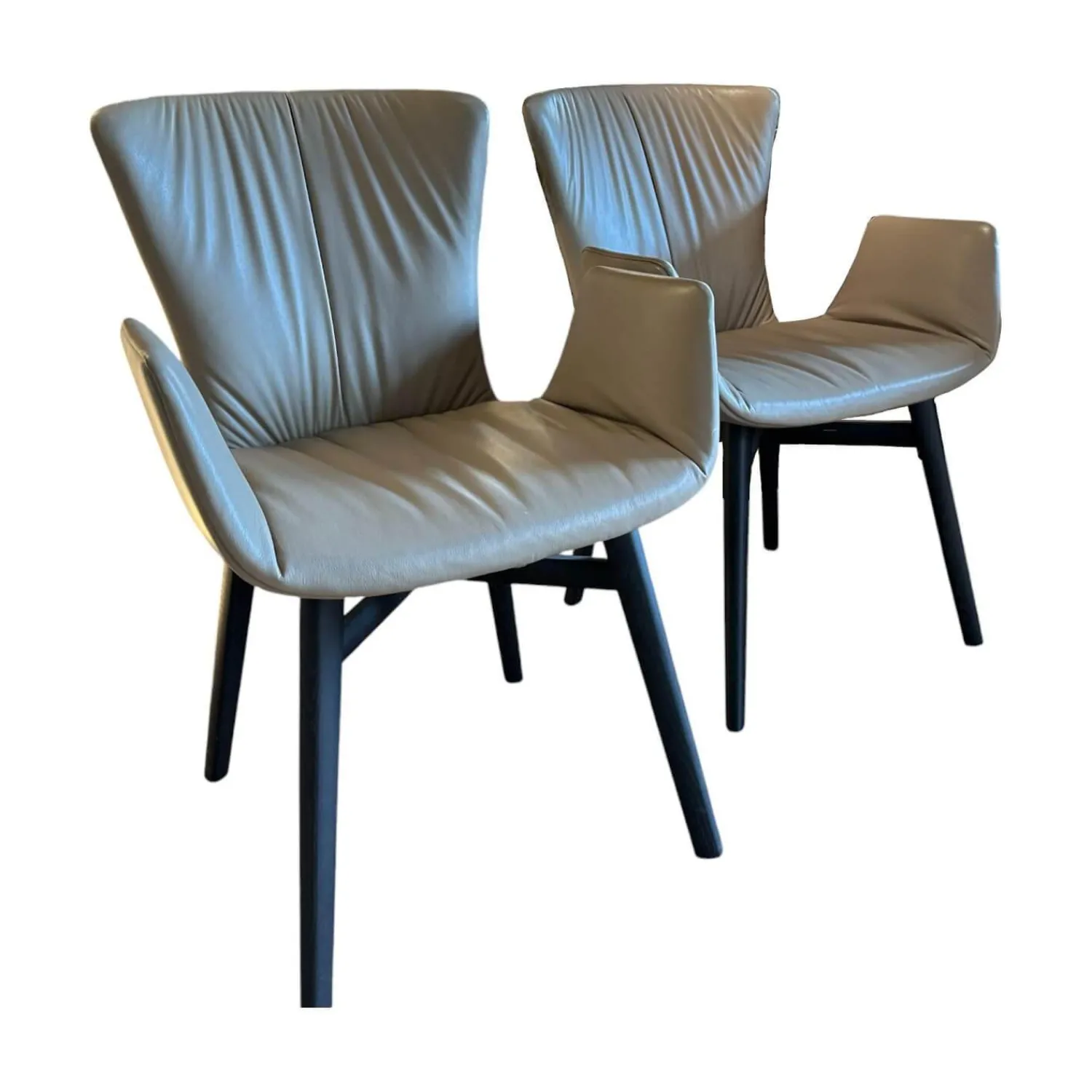 Draenert Stuhlsets|2er Set Armlehnstuhl Dexter 2056 I Leder 3 Select 12 Schlamm Braun Beige Grau Gestell Mooreiche