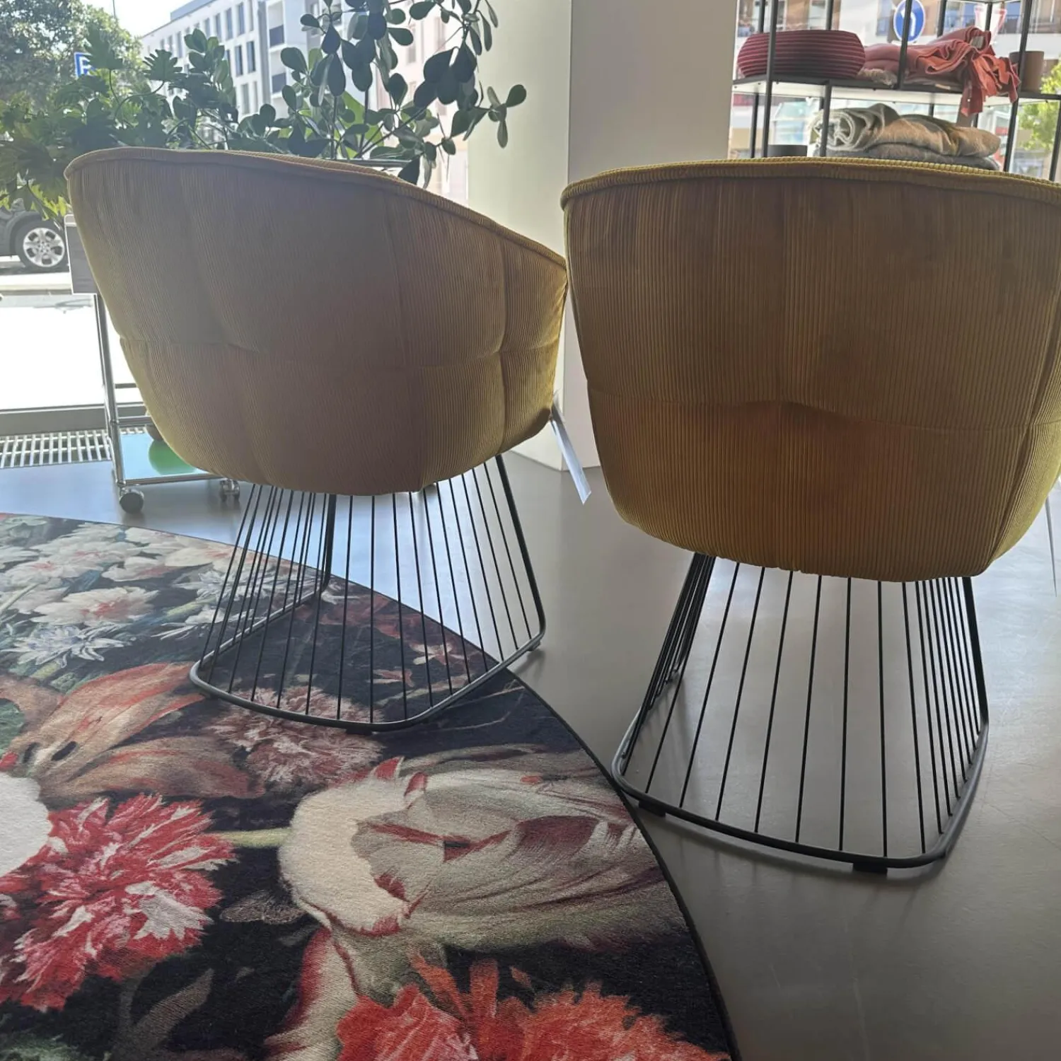 Freifrau Stuhlsets|2er Set Armlehnstuhl Marla Hoch Stoff Riga M1 Curry Gelb Harfengestell Schwarz