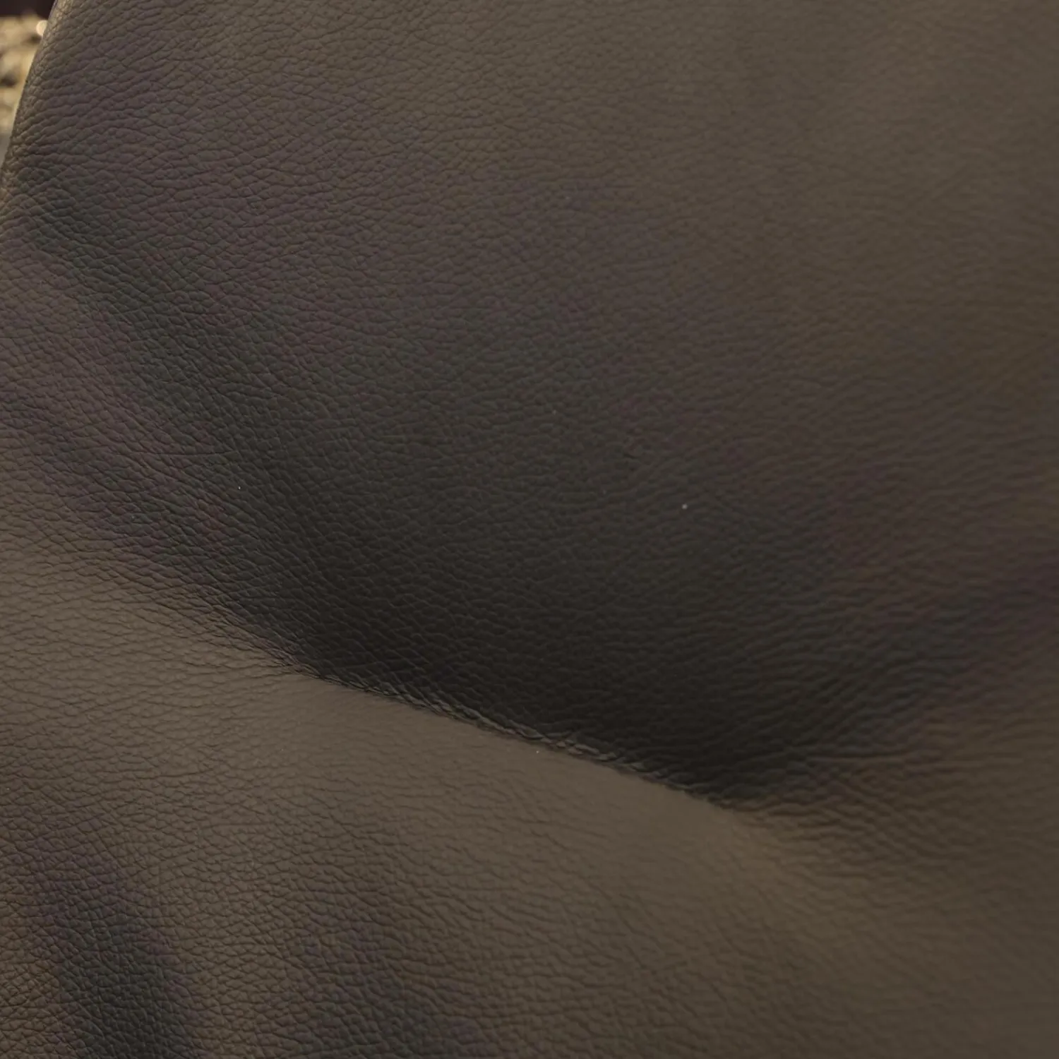 Gealux Stuhlsets|2er Set Armlehnstuhl Renata Leder Dino 545 Schwarz Gestell Metall Schwarz