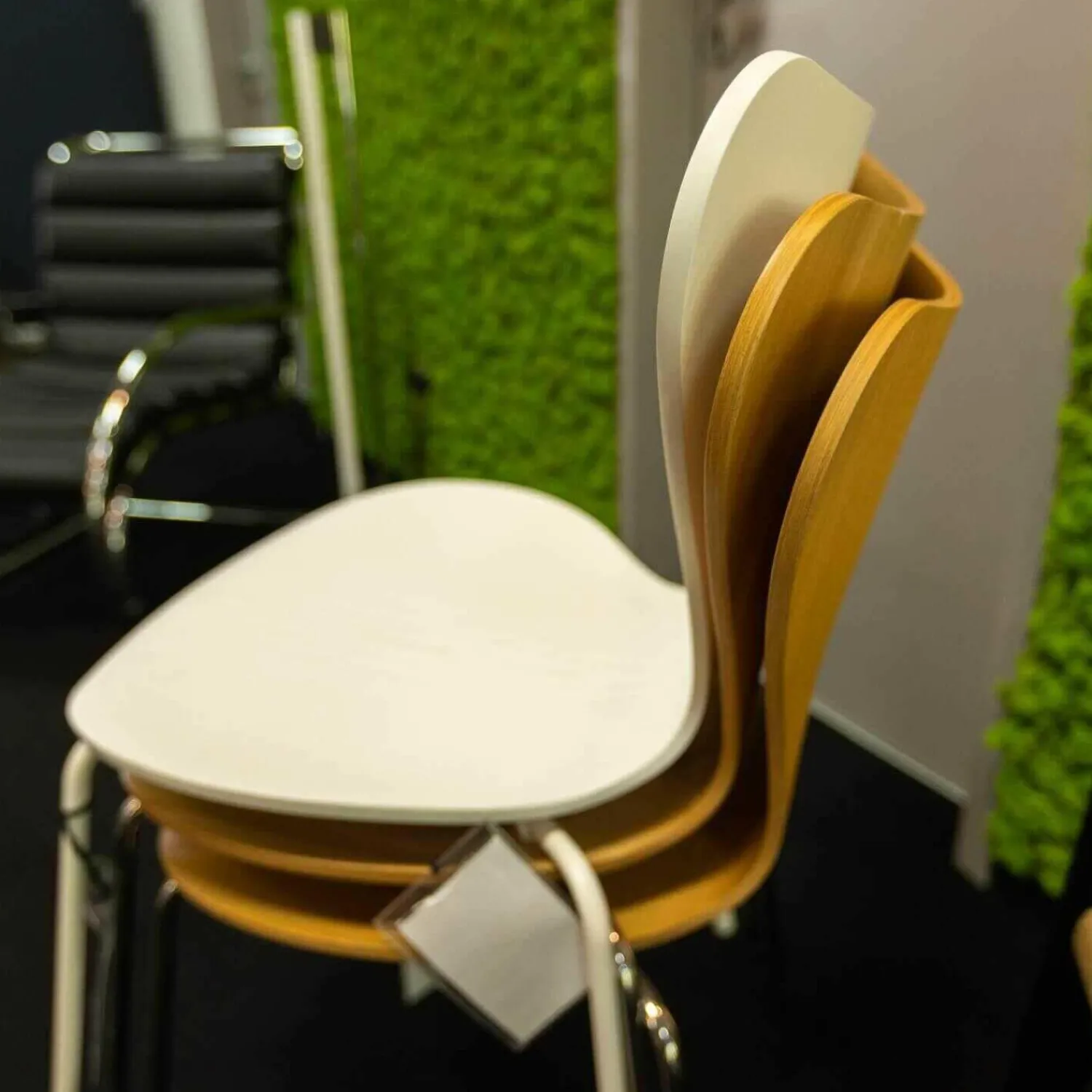 Fritz Hansen Stuhlsets|3-er Set Serie 7 Eiche Natur Ulme Natur Und Esche Weiß Gefärbt Stapelbar