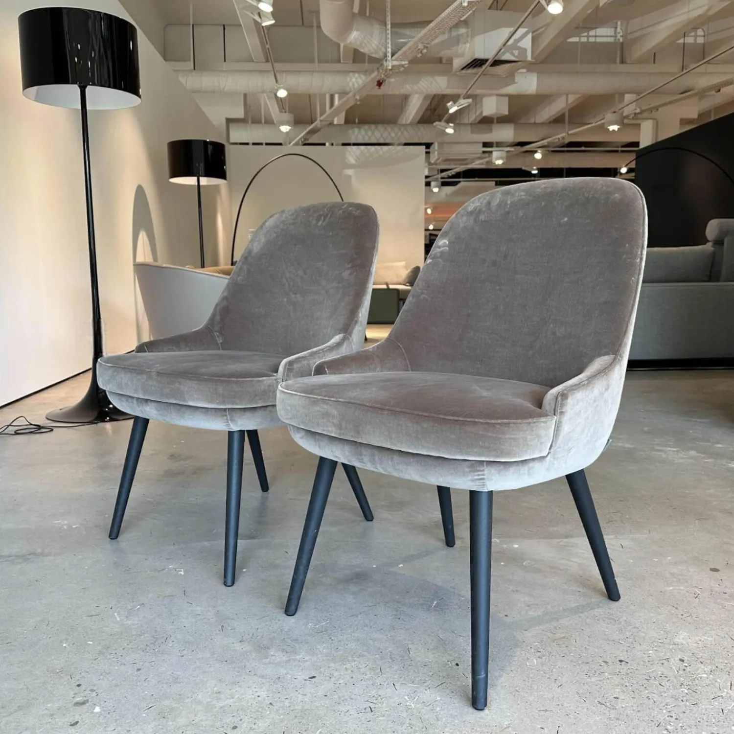 Walter Knoll Stuhlsets|2er Set Stuhl 1375 Stoff Harald 2 Mineral 242 Grau Füße Eiche Geflammt Geölt Mit Kunststoffgleitern