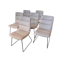 KFF Stuhlsets|6er Set Stuhl Arva Light Leder Belo Horizonte Steingrau 1651 Grau Drahtkufengestell Macadamia M11 Braun