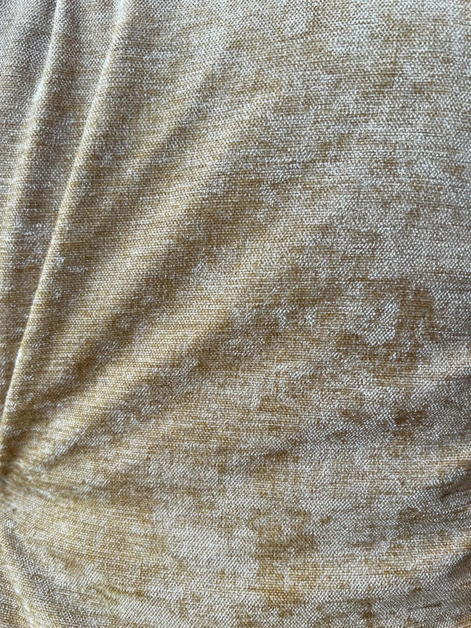 Raum.Freunde Stuhlsets|6er Set Stuhl Pelle Stoff Oxford 503 Senf Gelb Und 400 Gelb Untergestell Anthrazit Inklusive Gleiter