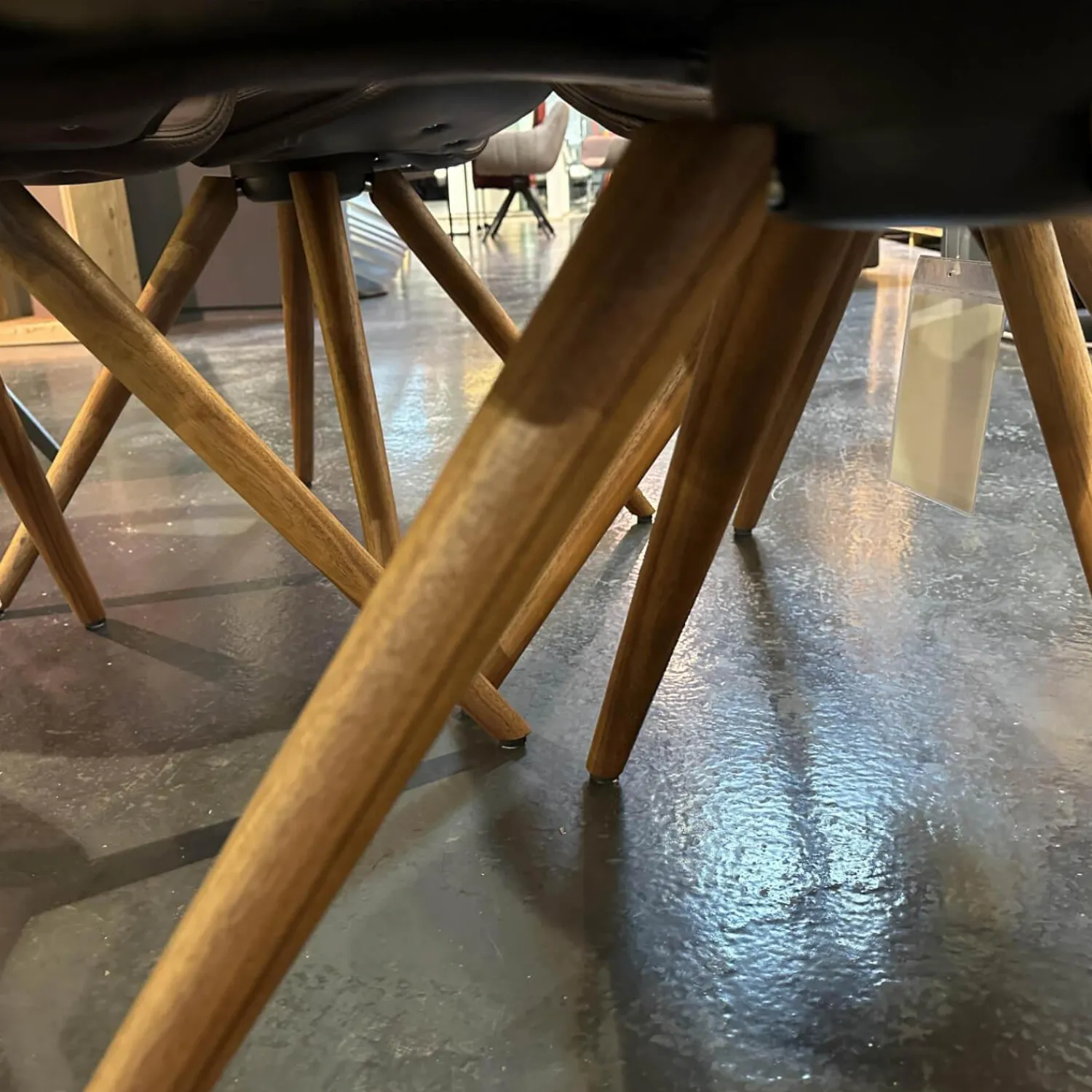 Tonon Stuhlsets|4-er Set Stuhl UP Leder Tender 602 Braun Holzfüße Nussbaum Geölt