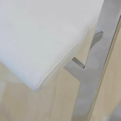 Tonon Stuhlsets|2er-Set Schwingstuhl 967-01 Chrom Glanz F 40 Leder No1 Nuvola 117