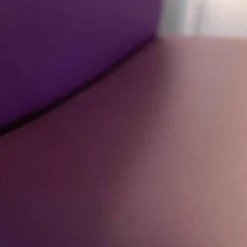 Draenert Stuhlsets|2er-Set Stuhl Freischwinger Nobile Swing Soft Leder Lila