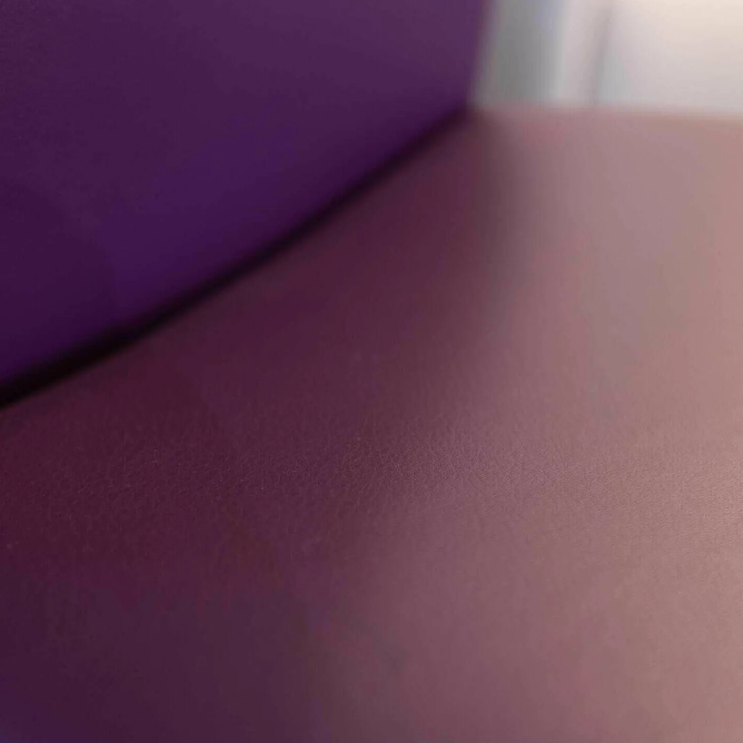 Draenert Stuhlsets|2er-Set Stuhl Freischwinger Nobile Swing Soft Leder Lila