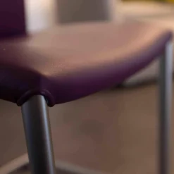 Draenert Stuhlsets|2er-Set Stuhl Freischwinger Nobile Swing Soft Leder Lila