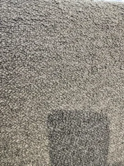 Bielefelder Werkstätten Stuhlsets|2er-Set Stuhl Heaven Dining Stoff Queen BW1775 311 Grün Metallgestell Kufe Schwarz