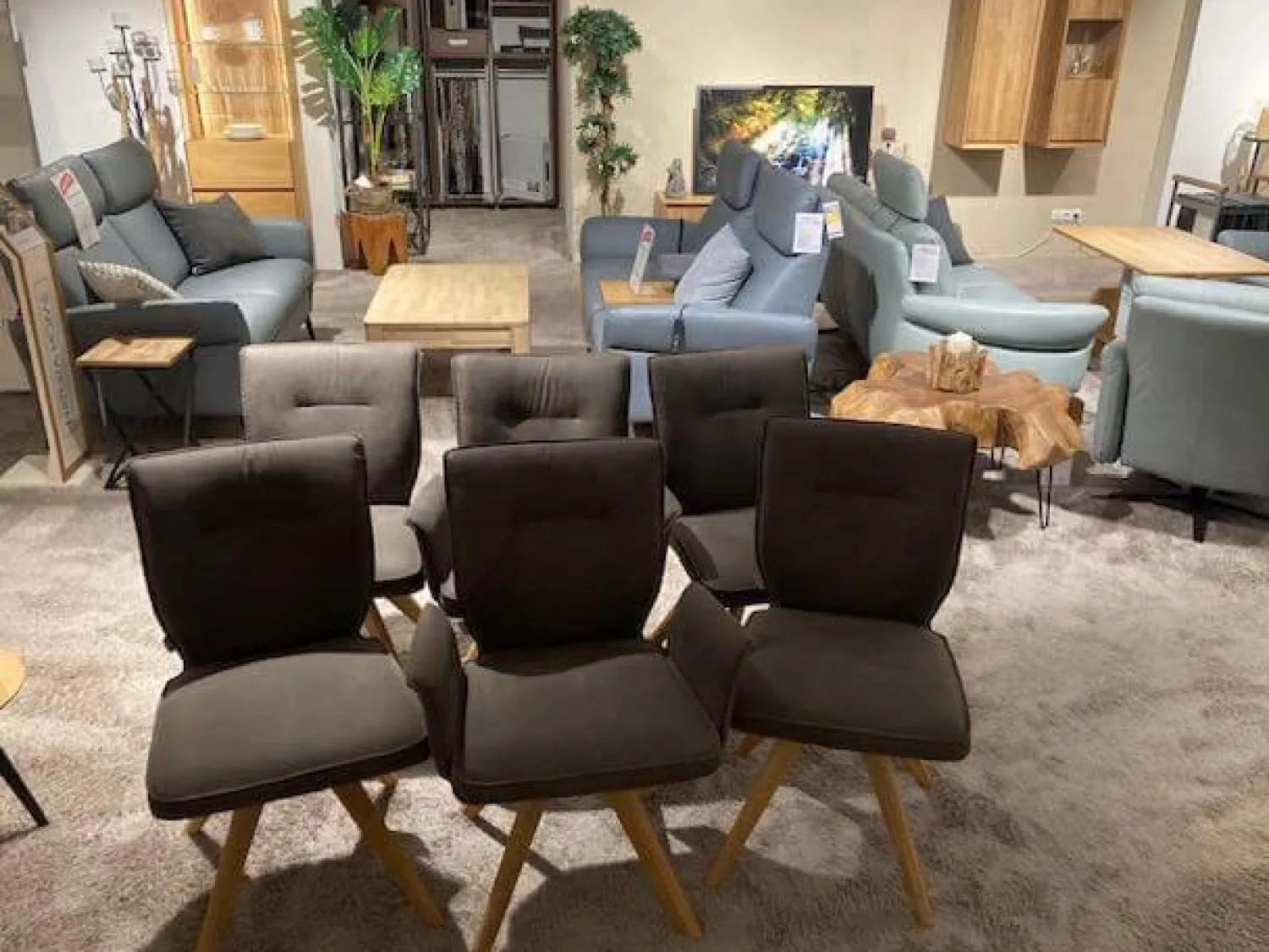 Natura Stuhlsets|6er-Set Stuhl Westmore Stoff Texel Schlamm Braun Grau