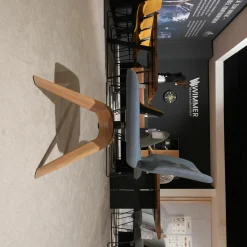 Team 7 Stuhlsets|2er-Set Suhl Aye Asdoa Stoff Canvas Hellblau Gestell Eiche Weißöl ohne Armlehnen