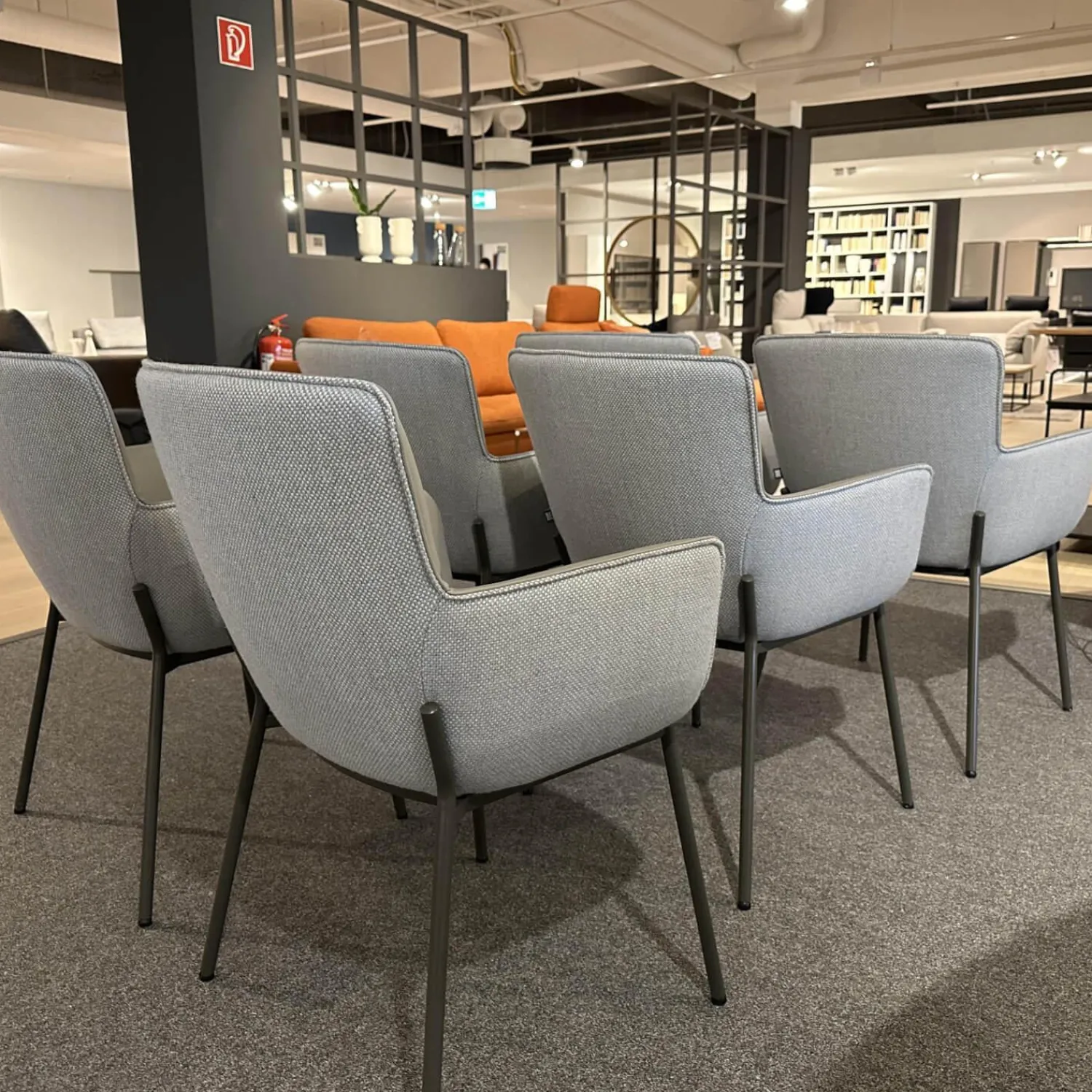 Rolf Benz Stuhlsets|6er-Stuhlset K-Stu 655 + RSA-Stu 655 Koprus In Leder 38.101 Steingrau Rückenschale In Stoff 28.101 Signalgrau/Taubenblau Meliert Gestell Vierfuß Rundrohr Stahl Glatt Pulverbeschichtet Seidenmatt Umbragrau