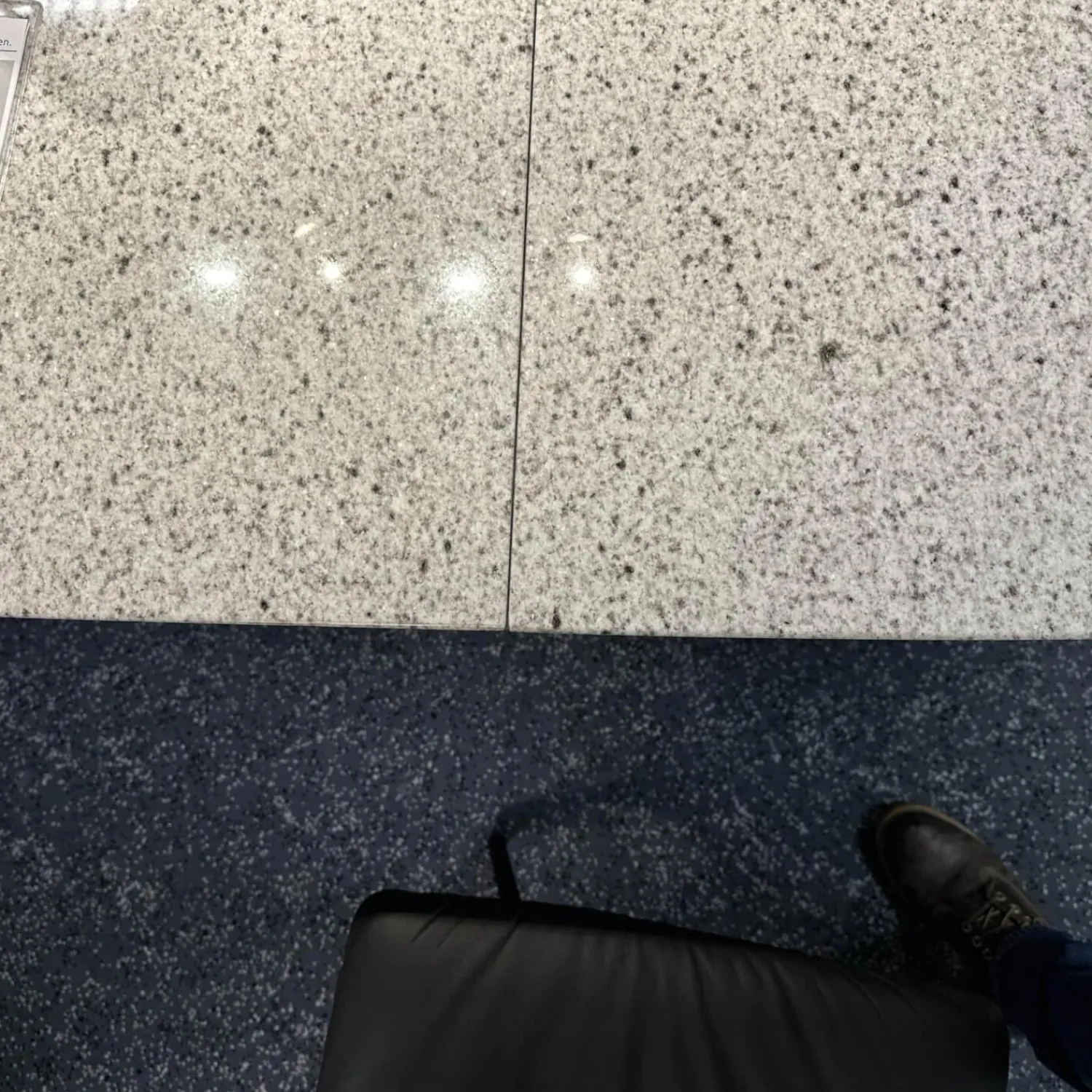 Draenert Esstische|Esstisch Adler 1224 Platte Granit Polar Poliert Grau Sockel Oval Edelstahl Matt Geschliffen Ohne Rollen