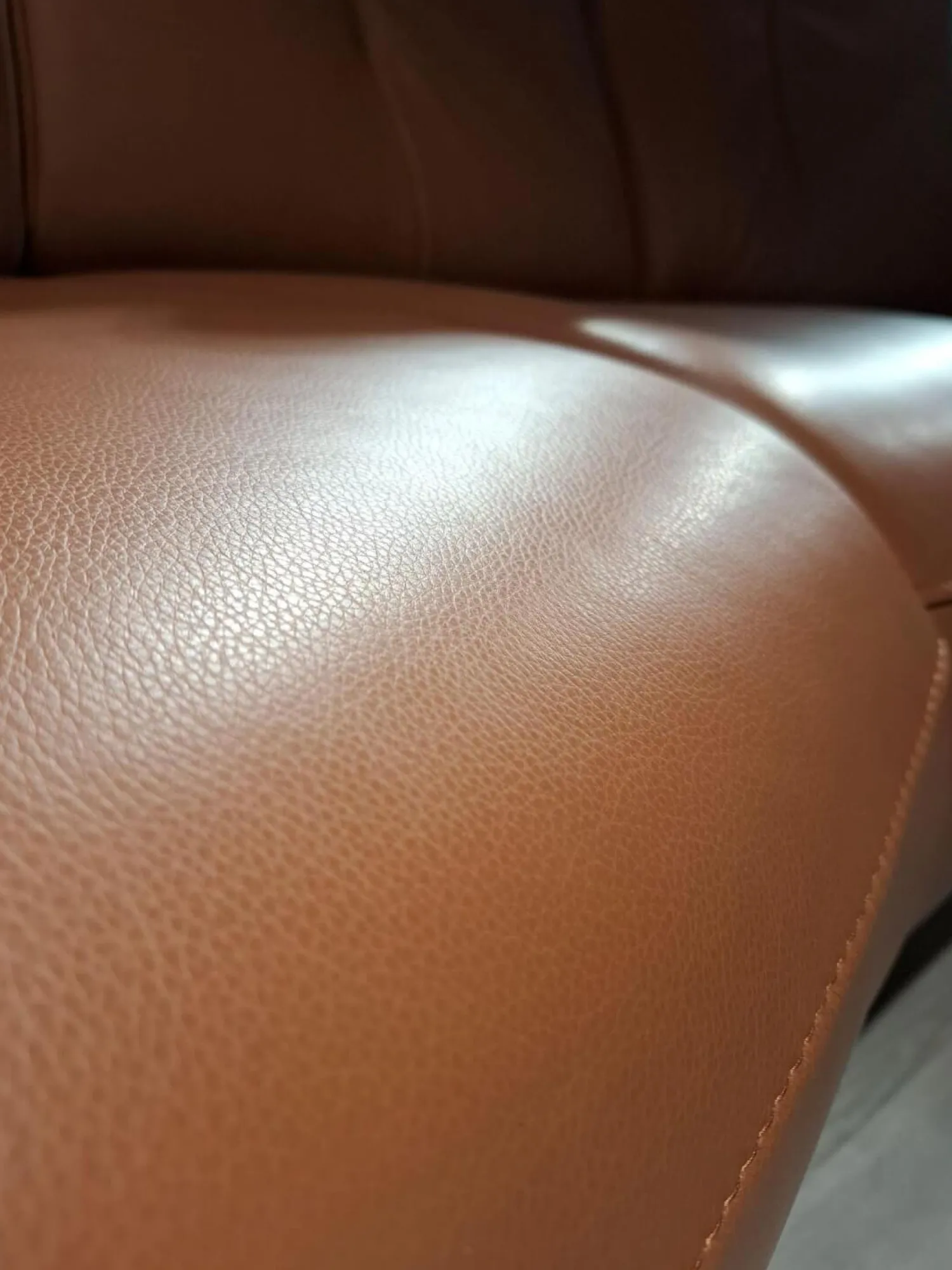 Global Polstergruppen|Garnitur Sitzkonzept Leder Credo Brandy Braun Kufe Metall Schwarz Geboden