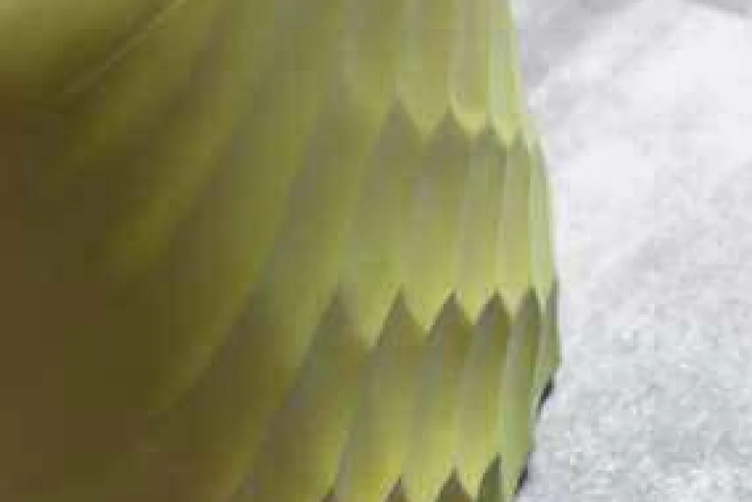 Tonon Hocker & Sitzsäcke|Hocker River Stone 903 Pouf