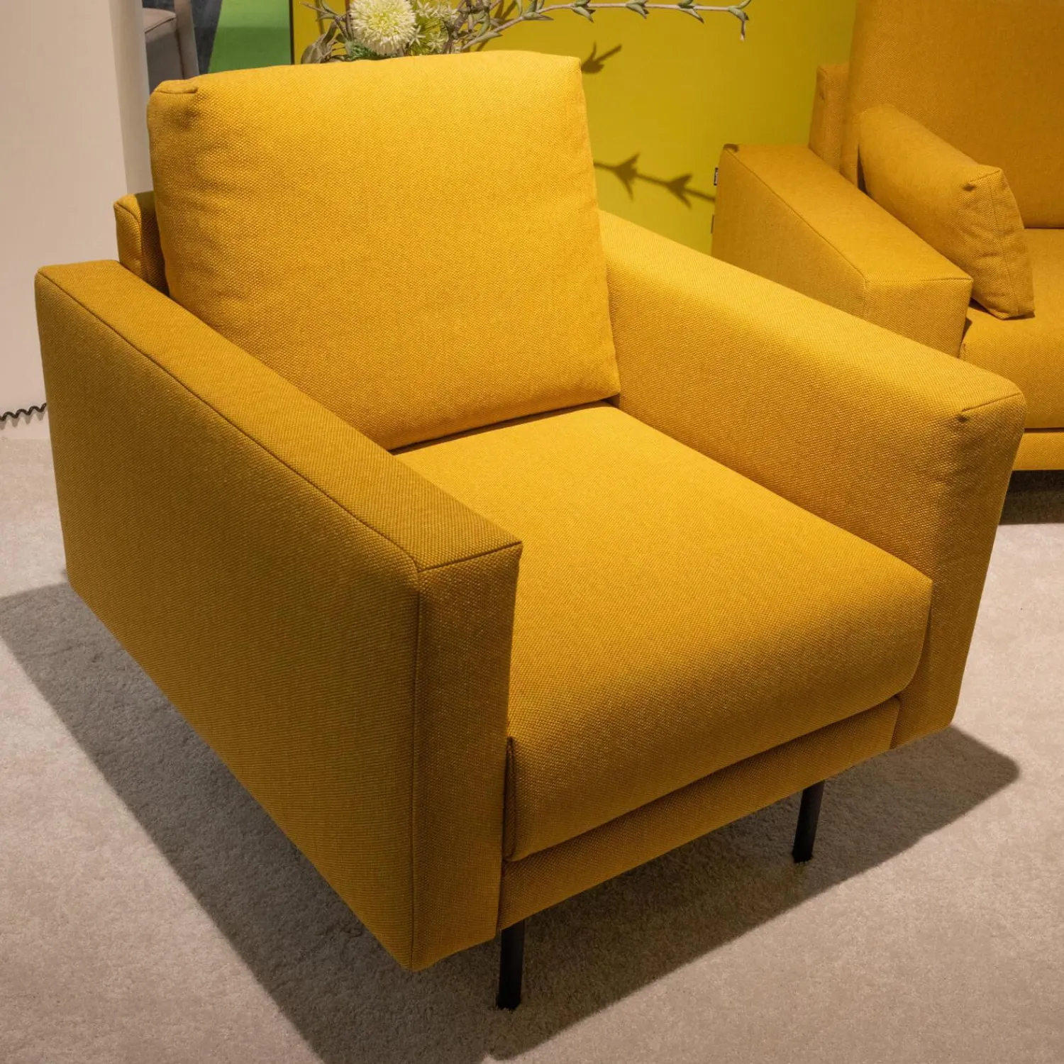 freistil Rolf Benz Polstergruppen|Polstereckgarnitur Und Sessel 170 Stoff 6545 Honiggelb Gelb Fuß Stahl Rundrohr Tiefschwarz RAL9005 Schwarz