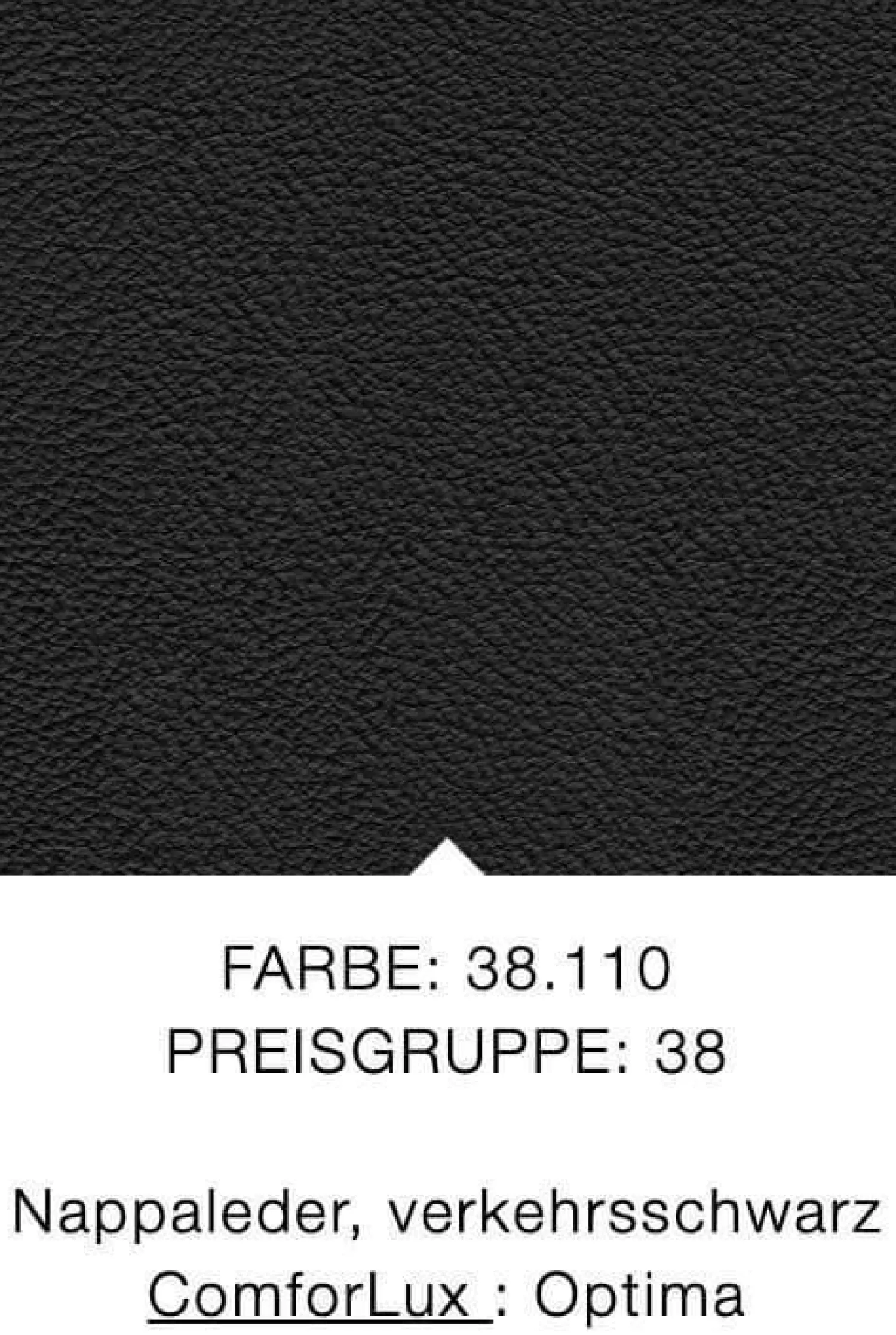 Rolf Benz 2-Sitzer-Sofas|Sofa Cara Leder 38.110 Schwarz Spange Stahl Schwarz