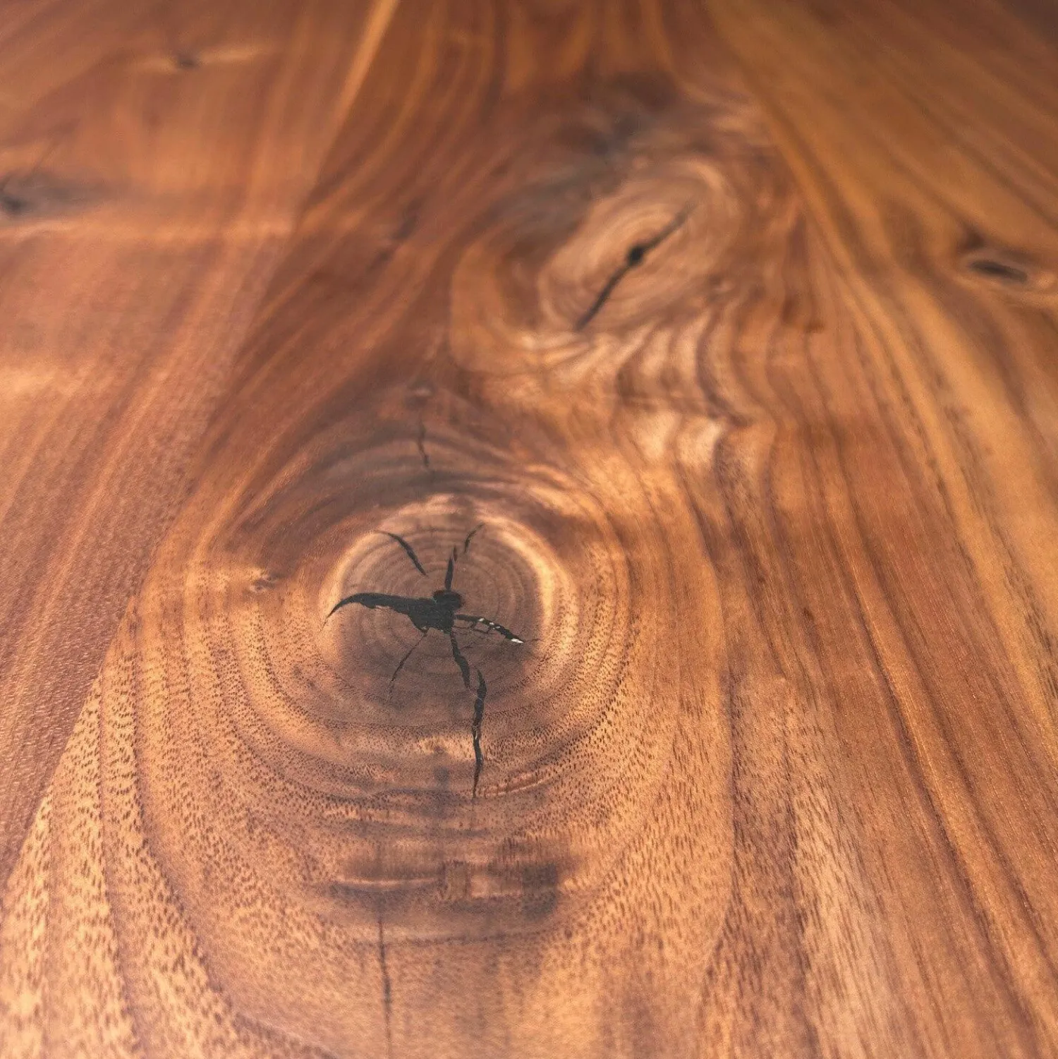 Janua Esstische|Runder Esstisch Basket BC07 Platte Nussbaum Amerikanisch Natur Geölt Gestell Tiefschwarz