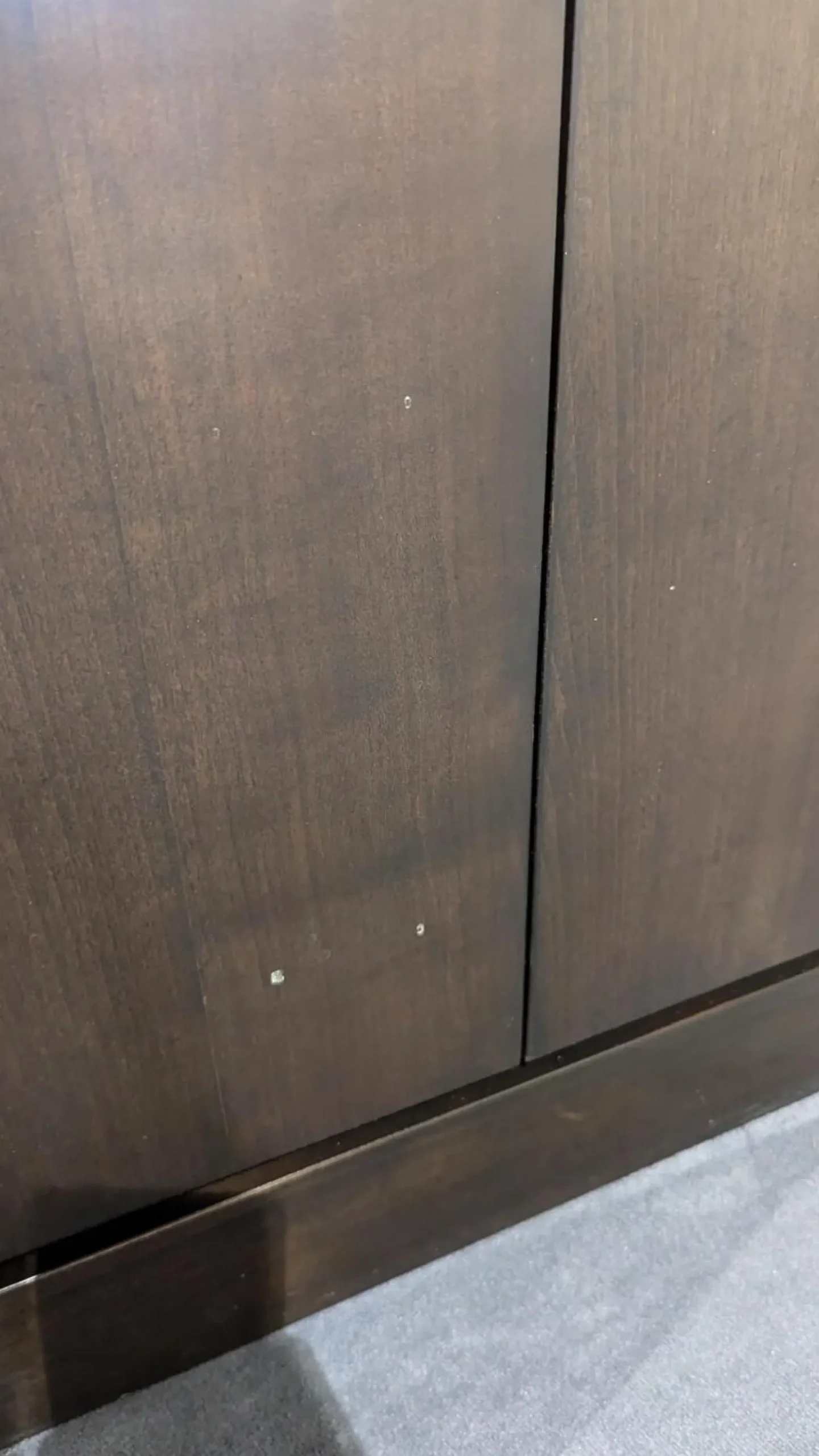 Selva Vitrinen & Highboards|Schrank 7021 Massivholz 45 Sepia Dunkelbraun Akzente Glas