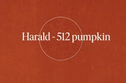 Walter Knoll Loungesessel|Sessel Bao Außen Leder Seddle Coffee Schwarz Innen Stoff Samt Harald Pumpkin Orange Drehteller Schwarz