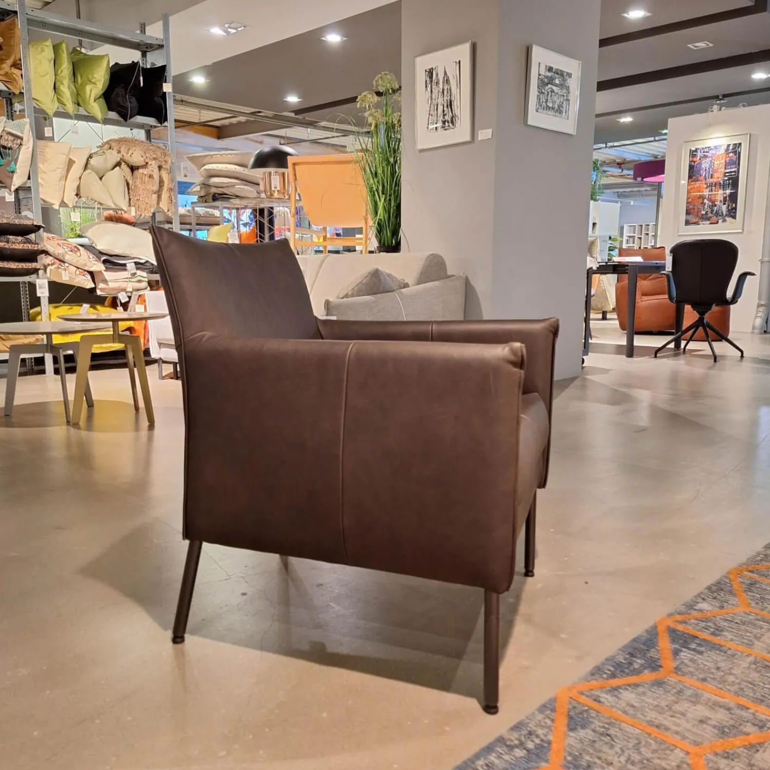 Bert Plantagie Einzelstühle|Sessel Dalia Bezug Leder Timber LT0309 Cioccolate Schwarz Gestell Rundrohr Fein Struktur 100 Kohl Schwarz