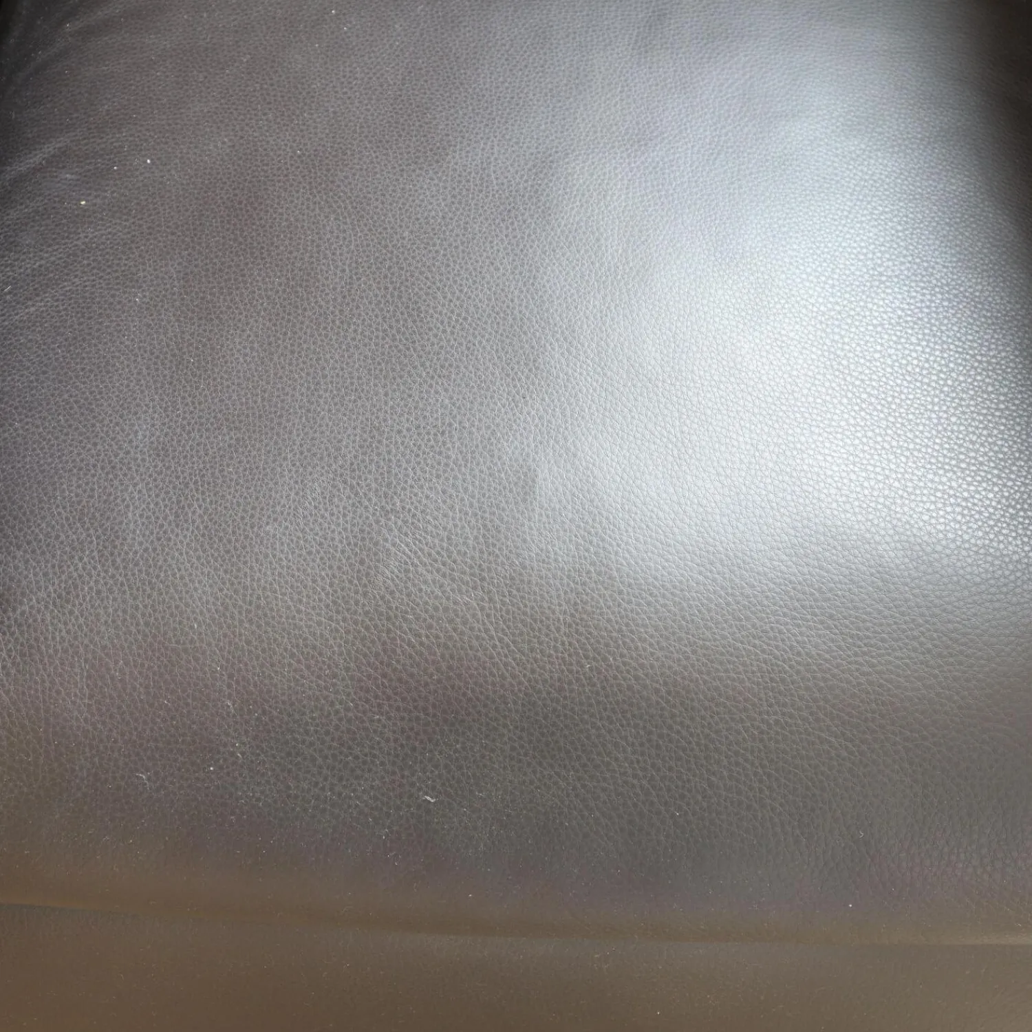 COR Loungesessel|Sessel Mell Bodennah Bezug Leder Semi Mocca 284