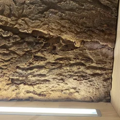 Natura Kommoden & Sideboards|Sideboard Cartago Soft Wildeiche Bianco