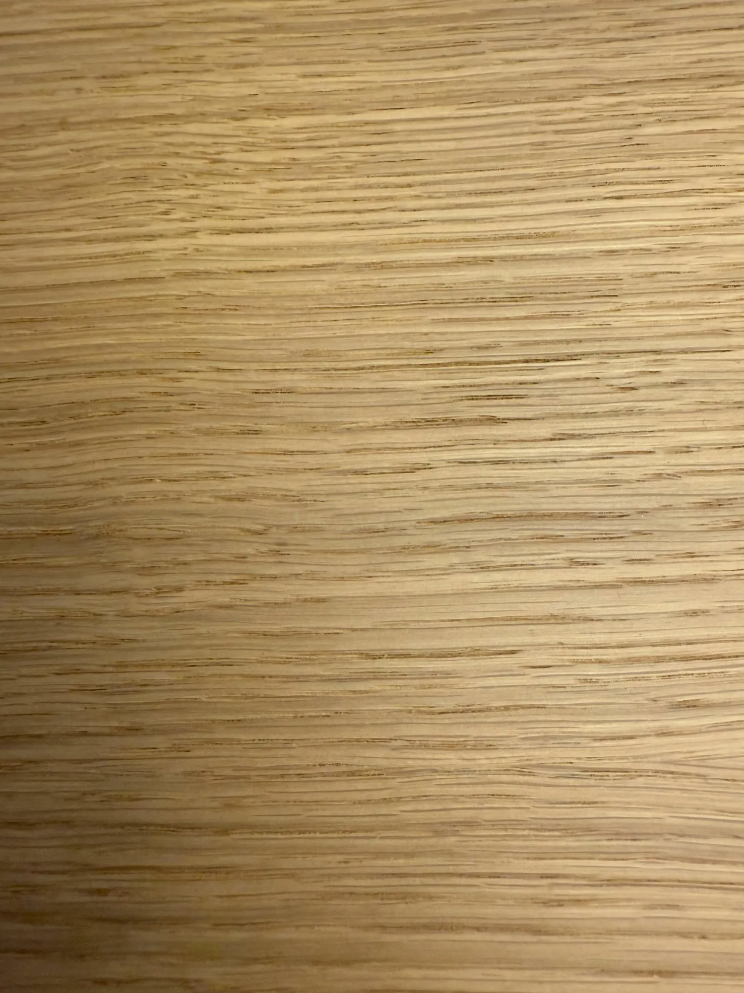 Piure Kommoden & Sideboards|Sideboard Nex Eiche mit 2 Drehtüren Innen P51 Cool Grey