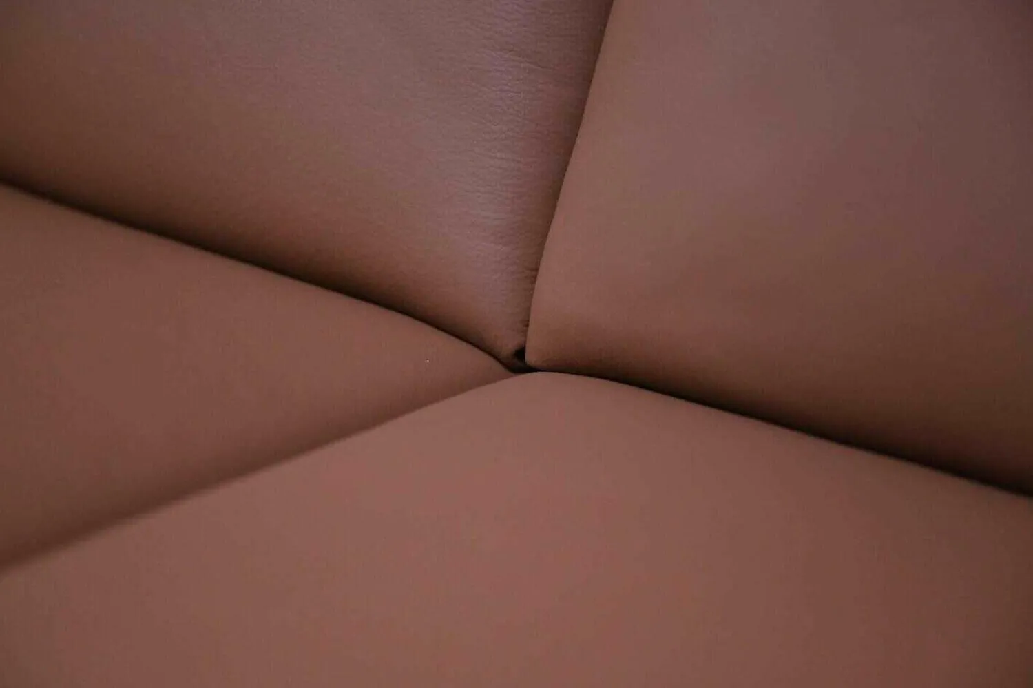 Koinor 2-Sitzer-Sofas|Sofa Aida Leder C-Tara-Family-Kenia Braun