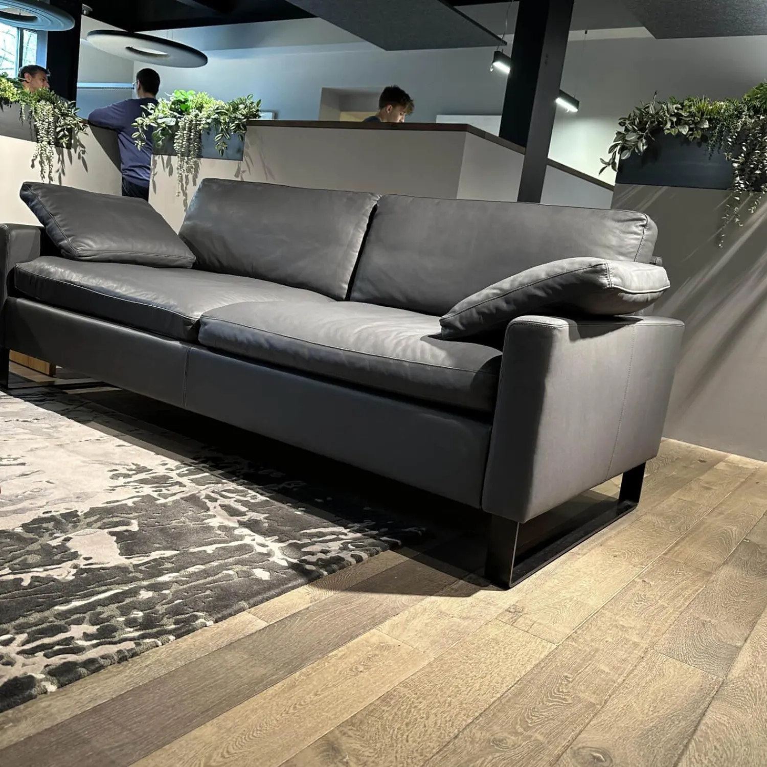 Brühl 3-Sitzer-Sofas|Sofa Alba Leder 5669 95 Grau Metallkufe Schwarz Pulverbeschichtet