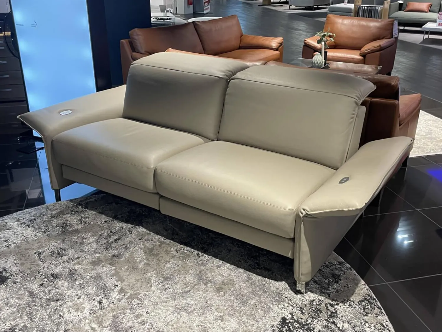 Erpo 2-Sitzer-Sofas|Sofa Avantgarde 965 Leder 43 210 Pearl Beige Grau Kufe Verchromt Mit Funktionen