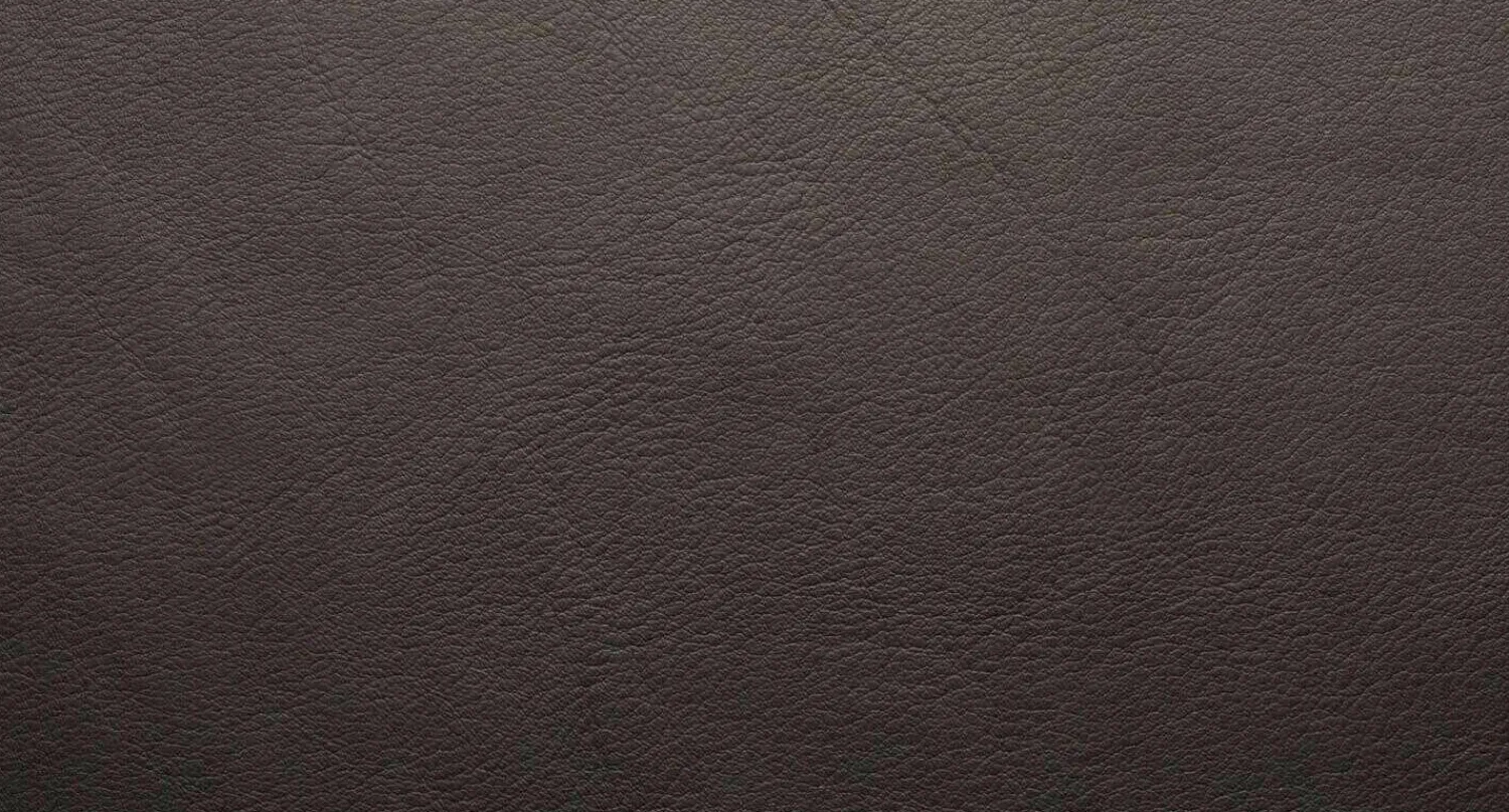 De Sede 2-Sitzer-Sofas|Sofa DS 0022/323 Leder Touch Espresso Gestell Metall