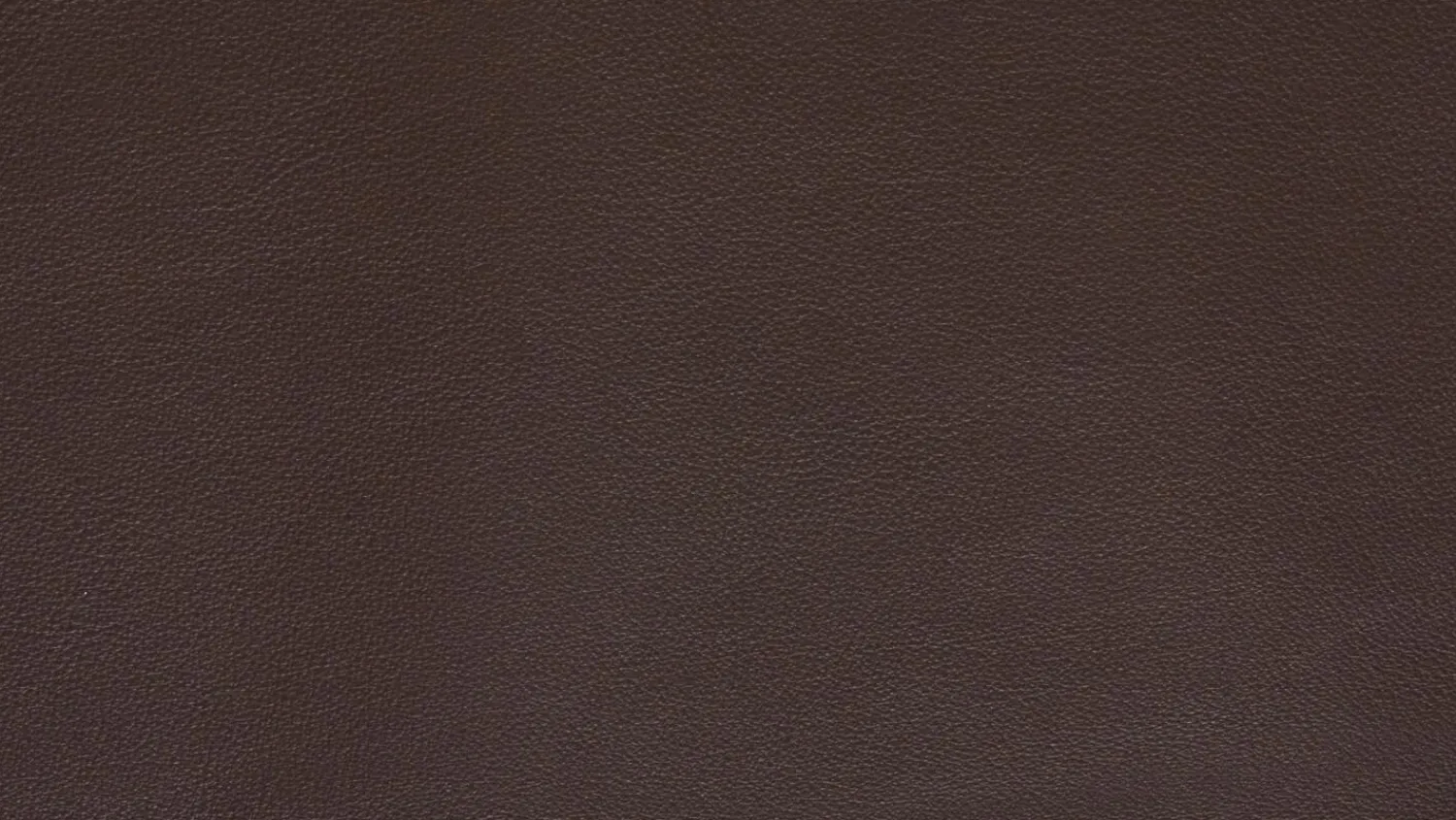 Koinor 2-Sitzer-Sofas|Sofa Edit 2 Leder D Dolce Cola Grau Braun Plateau 2 Balkeneiche Furniert Geölt Mit LED Beleuchtung Und Soundsystem