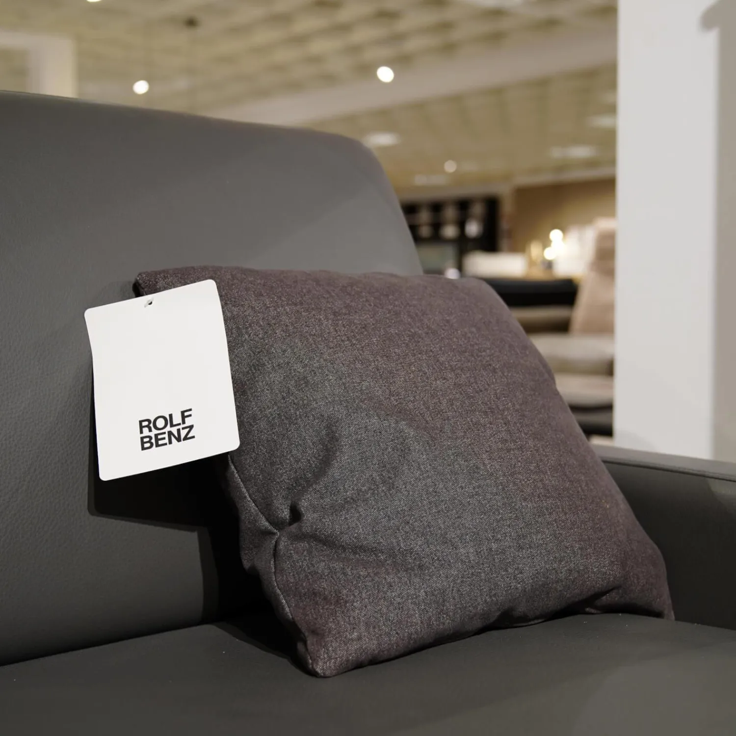 Rolf Benz 2-Sitzer-Sofas|Sofa Ego F011 Bezug Leder 40.308 Schiefergrau Gussfuß Aluminium Poliert Inklusive 1 Kissen