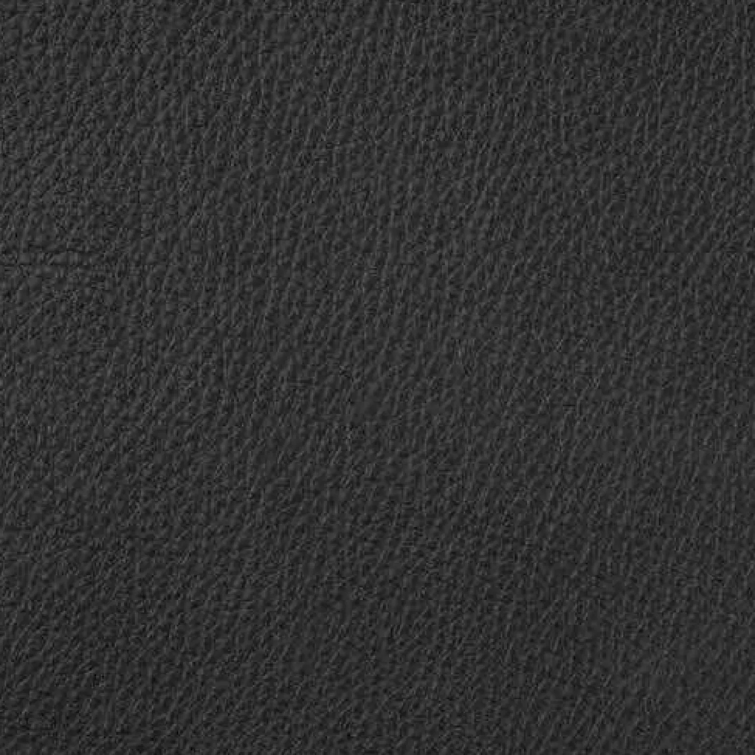 Rolf Benz 2-Sitzer-Sofas|Sofa Ego in Leder 40 Verkehrsschwarz mit Kopfstütze