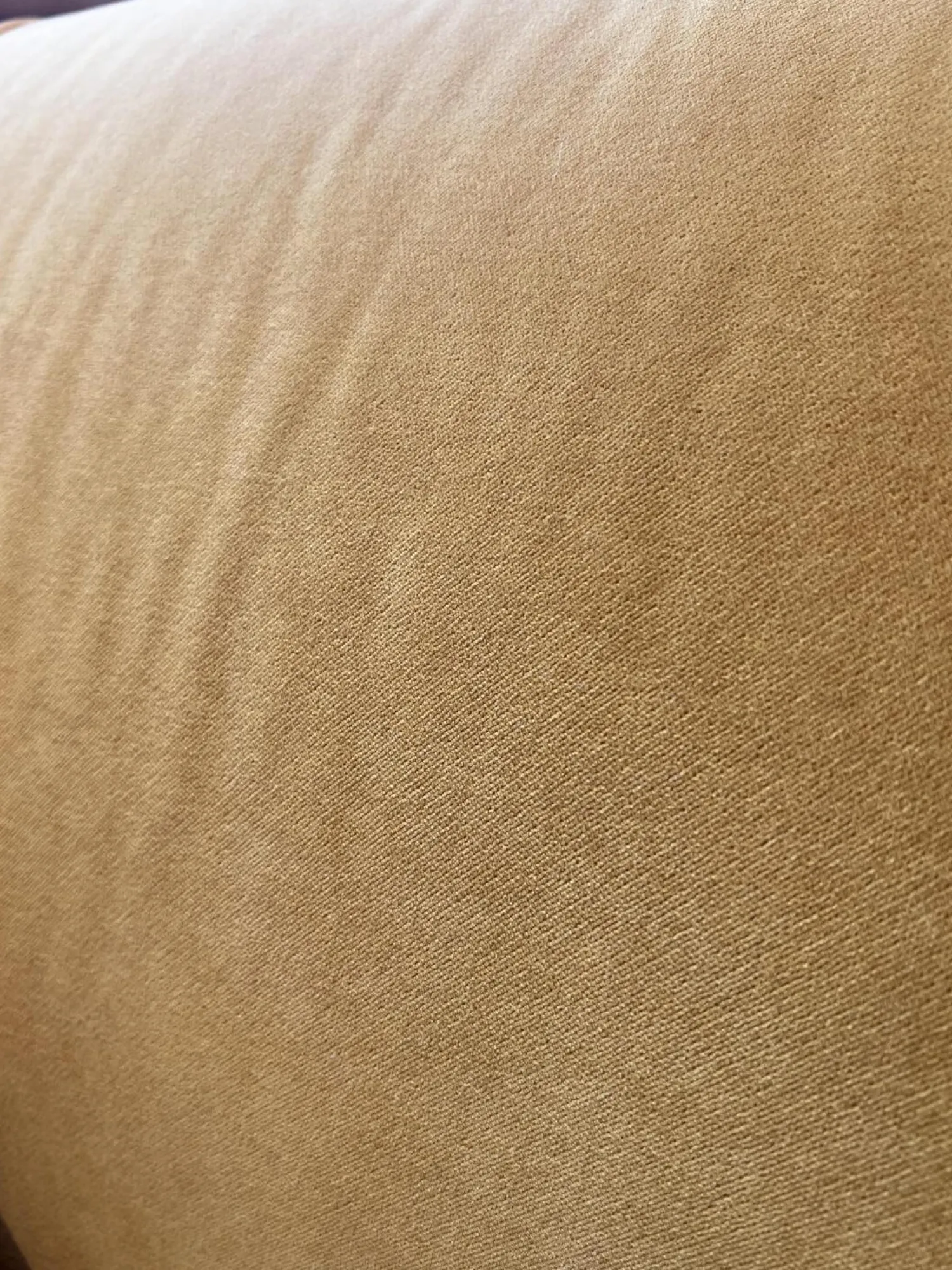 Raum.Freunde 2-Sitzer-Sofas|Sofa Hedda Stoff Classic Velvet 16 Yellow Gelb Füße Kunststoff Schwarz