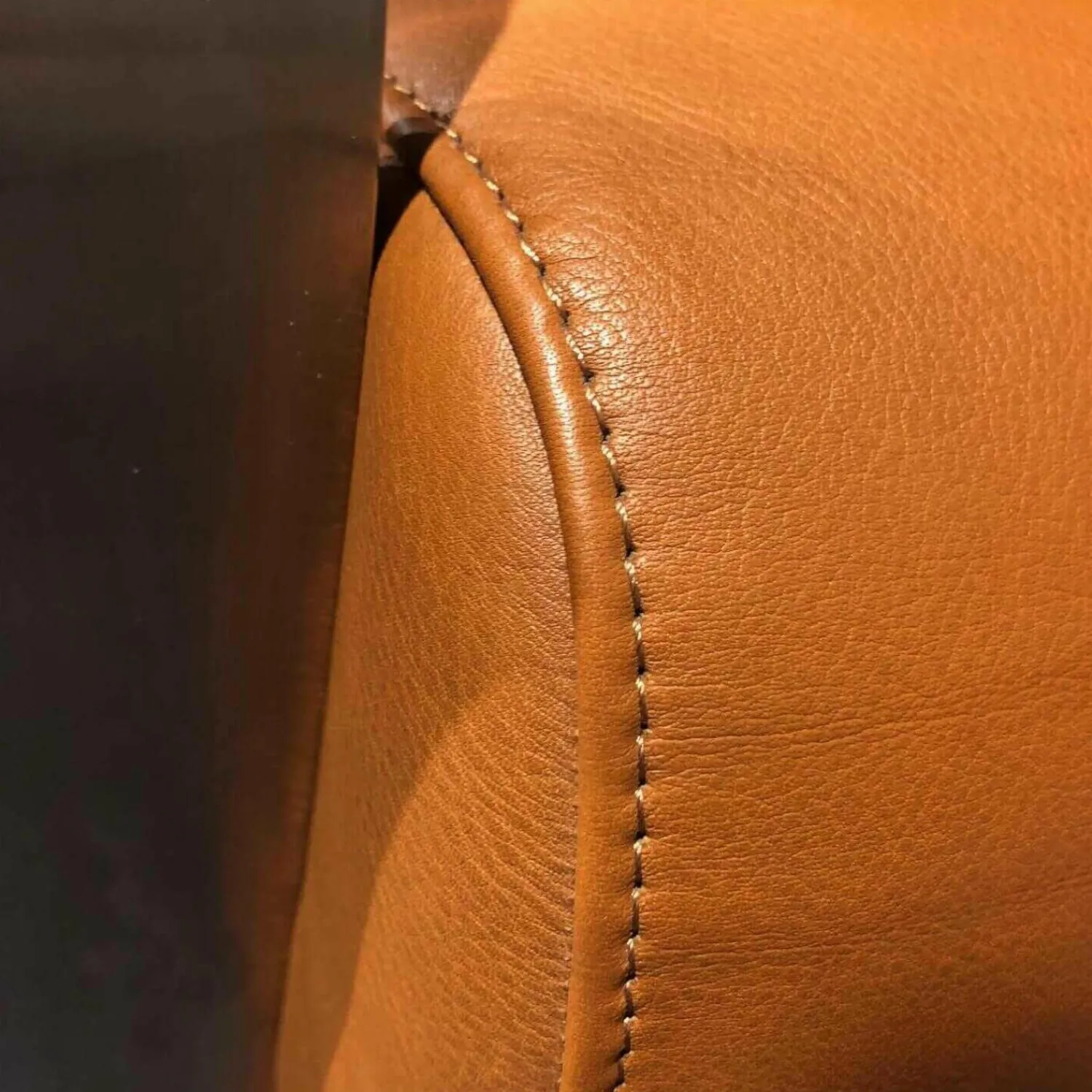 Gepade Relaxsessel|Solitärsessel Casa Leder Passion Hellbraun Gestell Edelstahl