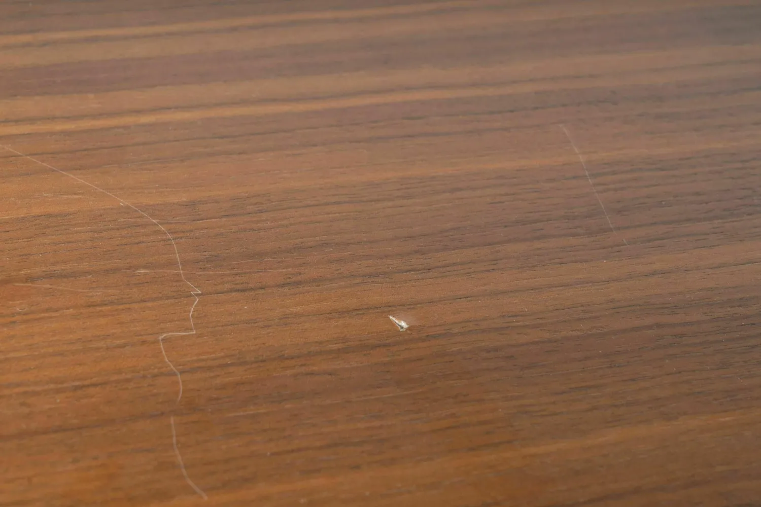 USM Haller Vitrinen & Highboards|Stehpult Mittelgrau Ablage Nussbaum