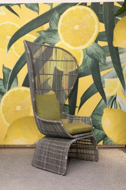 B&B Italia Gartenstühle|Stuhl Crinoline Outdoor Geflecht Taubengrau Grau Sitzkissen Lesia Grün