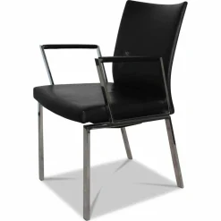 Draenert Einzelstühle|Stuhl Linus 2011-1 Leder 1 Schwarz