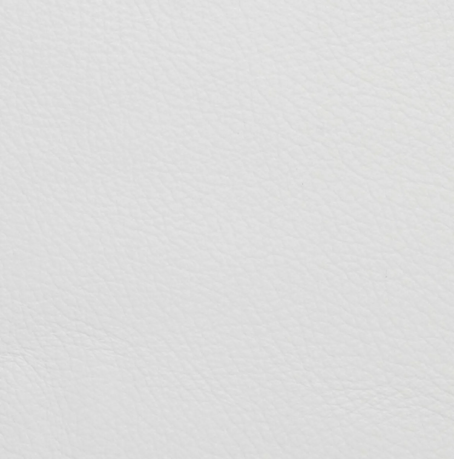 Porro Einzelstühle|Stuhl Neve Leder Pelle P11-001 Gestell Eschenholz Natur W36