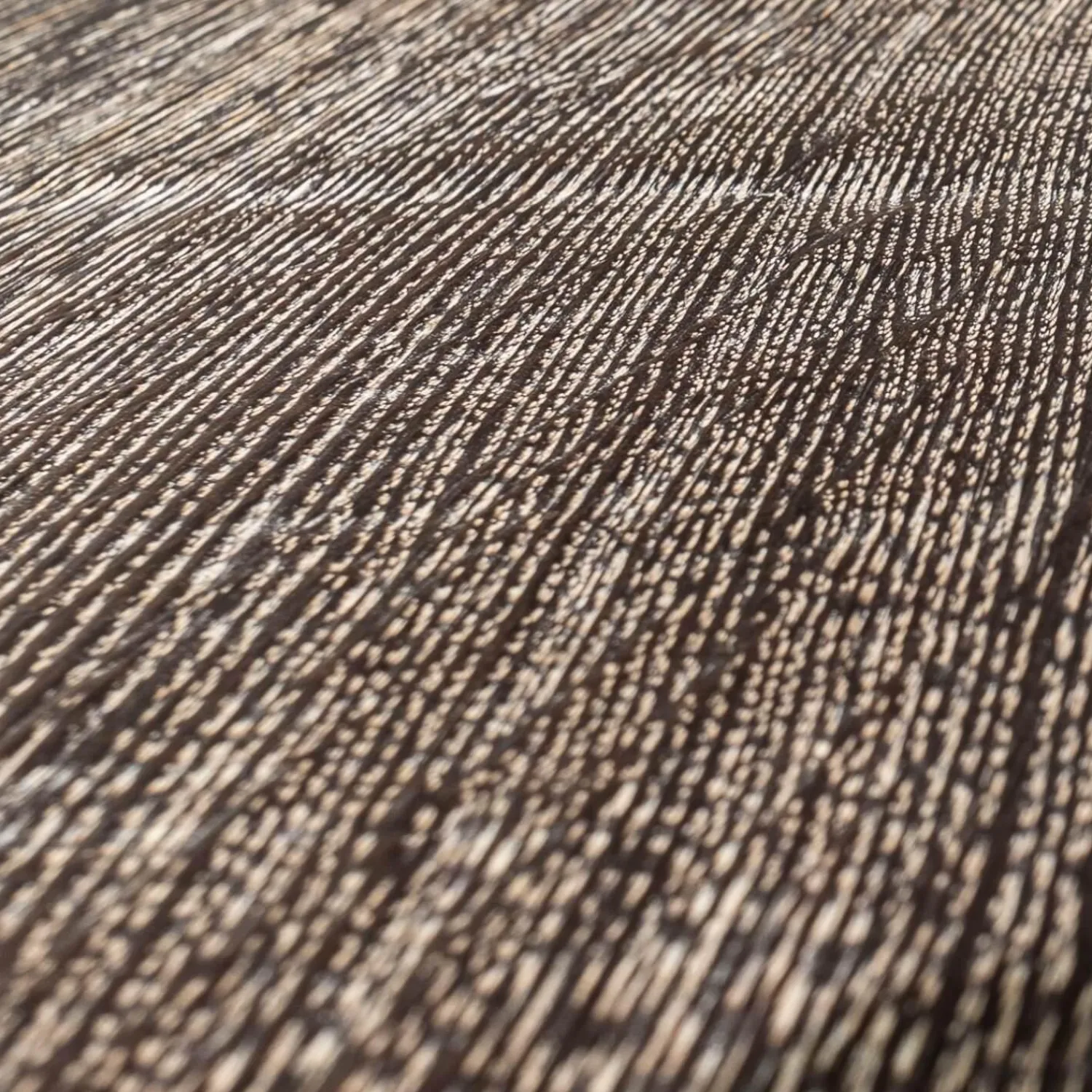 Janua Esstische|Tisch S600 Eiche Geköhlt Ton Grau Füße RAL 9005 Tiefschwarz Pulverbeschichtet Matt